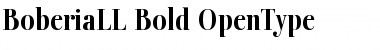Download BoberiaLL Bold Font Title Preview