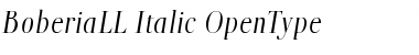 Download BoberiaLL Italic Font Title Preview