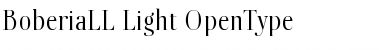 Download BoberiaLL Light Font Title Preview