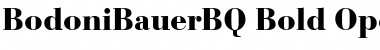 Download Bodoni Bauer BQ Regular Font Title Preview