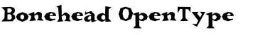 Download Bonehead Regular Font Title Preview