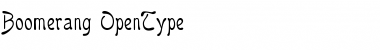 Download Boomerang Regular Font Title Preview