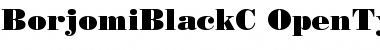 Download BorjomiBlackC Regular Font Title Preview