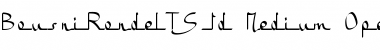 Download BousniRonde LT Std Medium Regular Font Title Preview