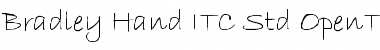 Download Bradley Hand ITC Std Regular Font Title Preview