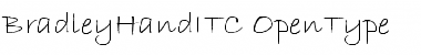 Download BradleyHand ITC Regular Font Title Preview