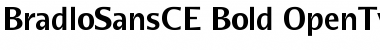 Download BradloSansCE Bold Font Title Preview