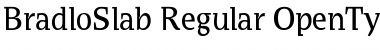 Download BradloSlab Regular Font Title Preview