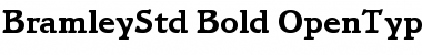 Download Bramley Std Bold Font Title Preview