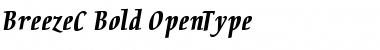 Download BreezeC Bold Font Title Preview