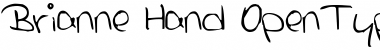Download Brianne Hand Regular Font Title Preview