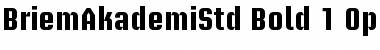 Download Briem Akademi Std Bold Font Title Preview
