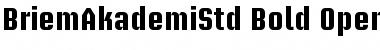 Download Briem Akademi Std Bold Font Title Preview