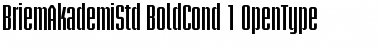 Download Briem Akademi Std Bold Condensed Font Title Preview
