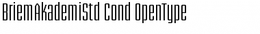 Download Briem Akademi Std Condensed Font Title Preview