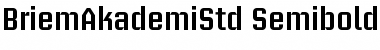 Download Briem Akademi Std Semibold Font Title Preview