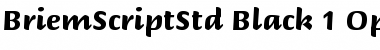Download Briem Script Std Black Font Title Preview