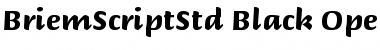 Download Briem Script Std Black Font Title Preview