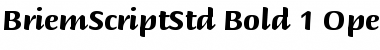 Download Briem Script Std Bold Font Title Preview