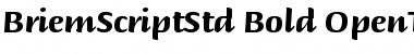 Download Briem Script Std Bold Font Title Preview