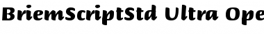 Download Briem Script Std Ultra Font Title Preview
