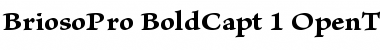 Download Brioso Pro Bold Caption Font Title Preview