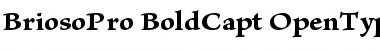 Download Brioso Pro Bold Caption Font Title Preview