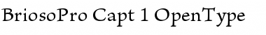 Download Brioso Pro Caption Font Title Preview