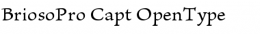 Download Brioso Pro Caption Font Title Preview
