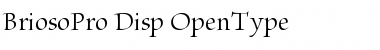 Download Brioso Pro Display Font Title Preview