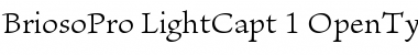 Download Brioso Pro Light Caption Font Title Preview
