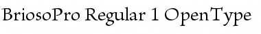 Download Brioso Pro Regular Font Title Preview