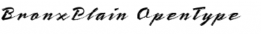 Download Bronx Plain Font Title Preview