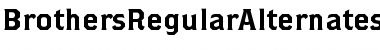 Download Brothers RegularAlternates Font Title Preview