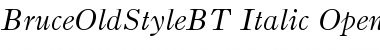 Download Bruce Old Style Italic Font Title Preview