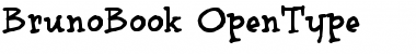 Download brunoBook Regular Font Title Preview