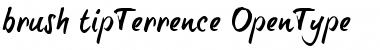 Download brush-tipTerrence Regular Font Title Preview