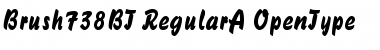 Download Brush 738 Regular Font Title Preview