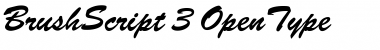 Download Brush Script Font Title Preview