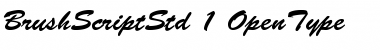 Download Brush Script Std Medium Font Title Preview