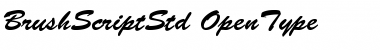 Download Brush Script Std Medium Font Title Preview