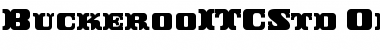 Download Buckeroo ITC Std Regular Font Title Preview