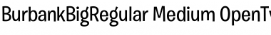 Download Burbank Big Regular Medium Font