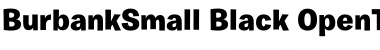 Download Burbank Small Black Font Title Preview