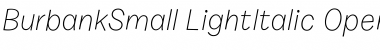 Download Burbank Small Light Italic Font Title Preview