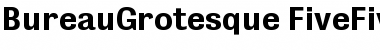 Download BureauGrotesque FiveFive Font Title Preview