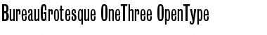 Download BureauGrotesque-OneThree Regular Font Title Preview