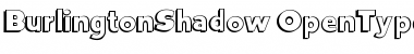 Download BurlingtonShadow Regular Font Title Preview