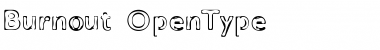 Download Burnout Regular Font Title Preview