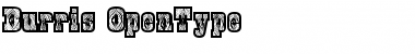 Download Burris Regular Font Title Preview